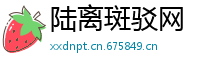 陆离斑驳网